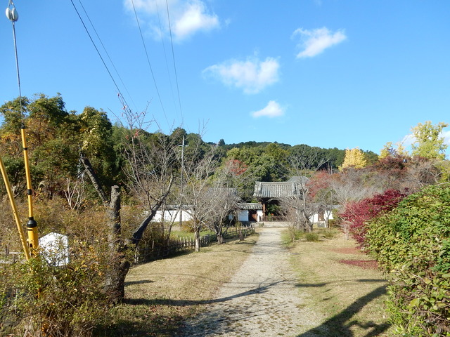 DSCN8453
