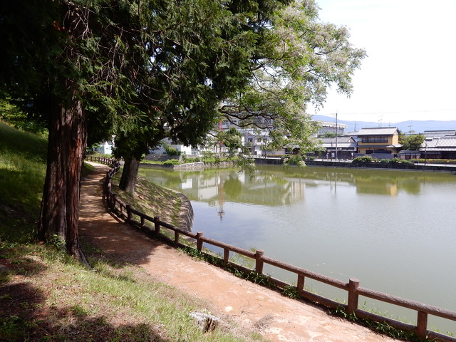 DSCN8427