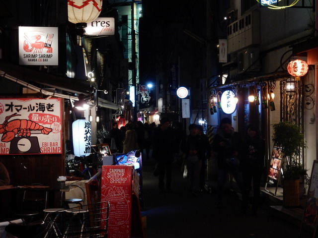 DSCN6522
