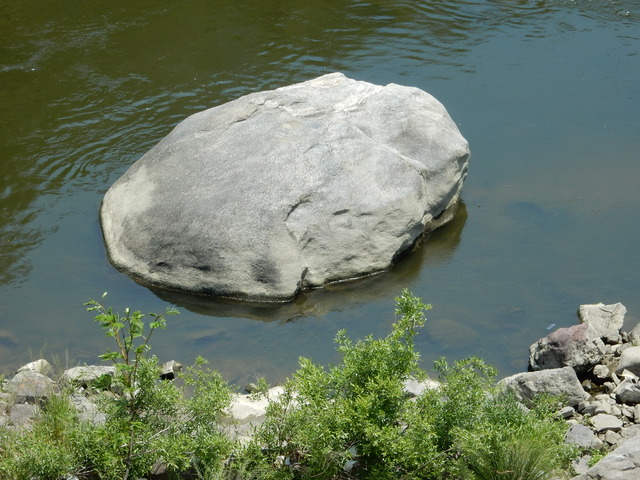 DSCN2411