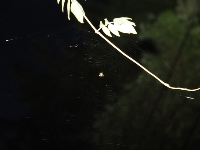 P7220342