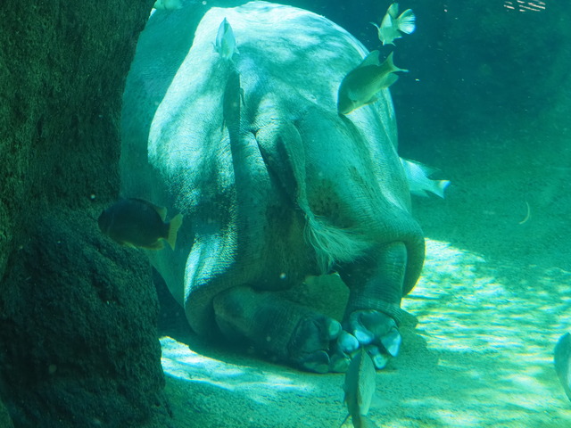 P5301147