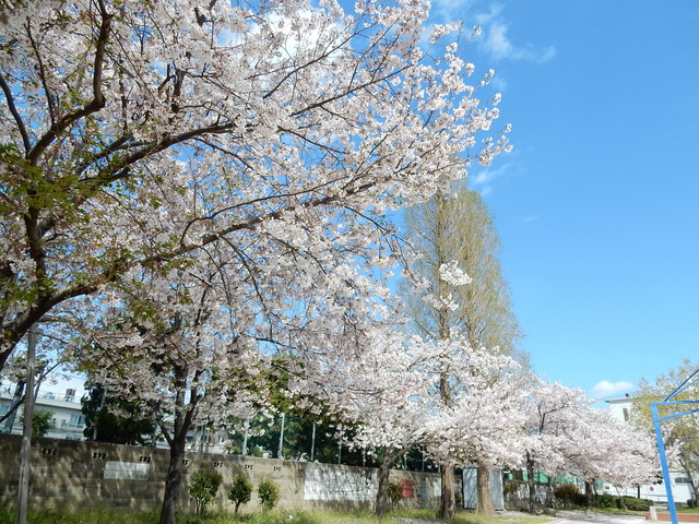 DSCN1943