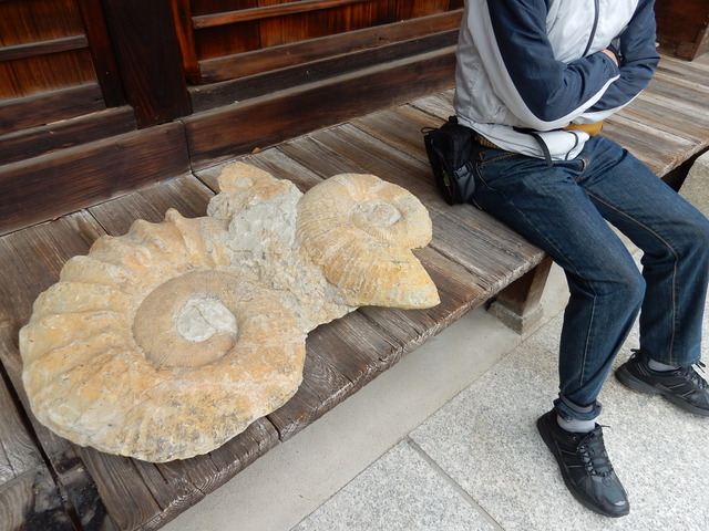 DSCN5801