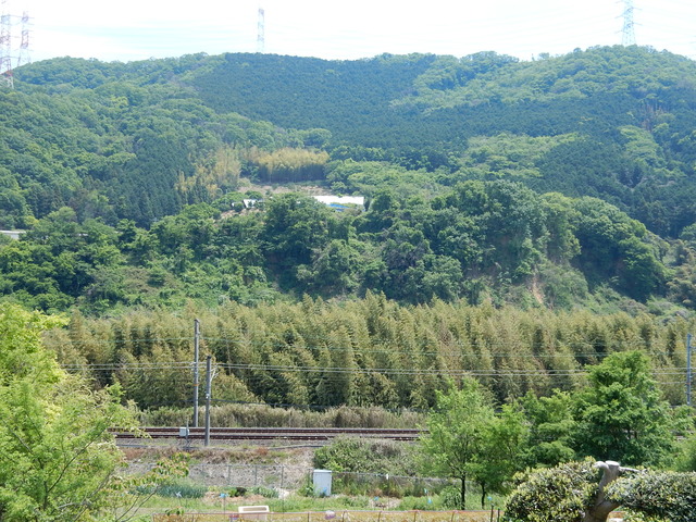 DSCN2389