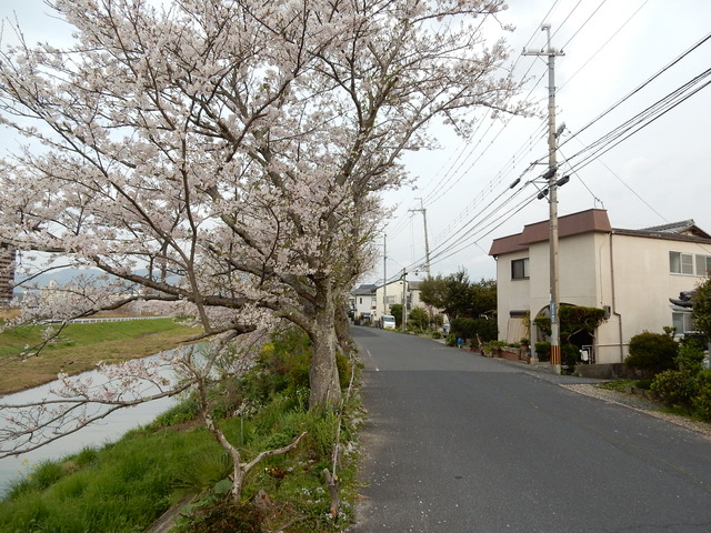 DSCN0843