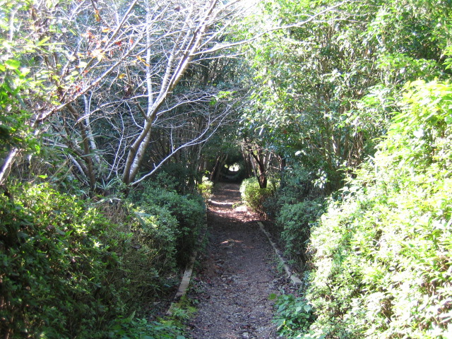 f0399345.jpg