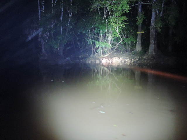 DSCN0826