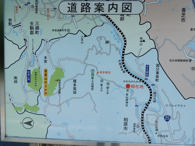 DSCN2370