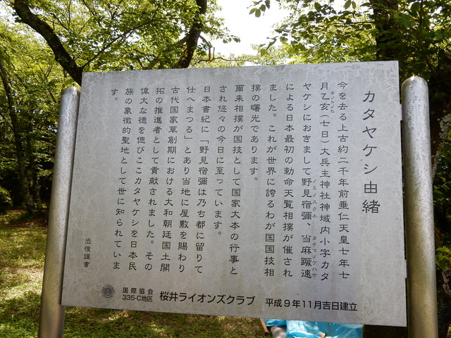 DSCN8374
