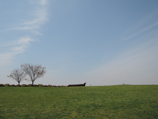 DSCN2072