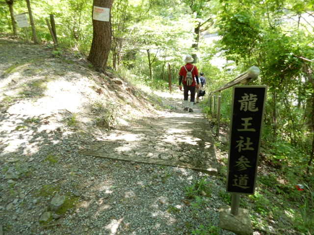 DSCN2418