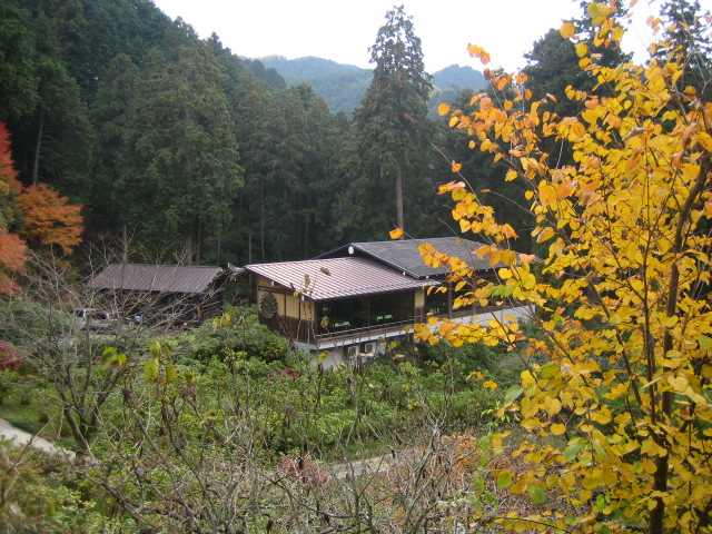 f3c05deb.jpg