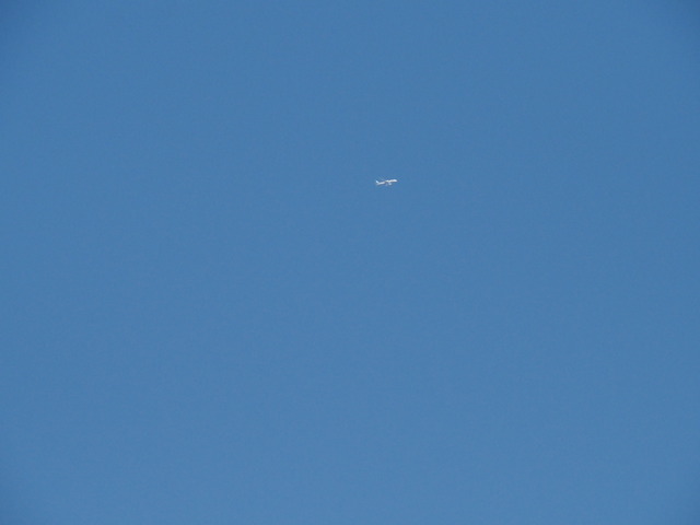 PA021674