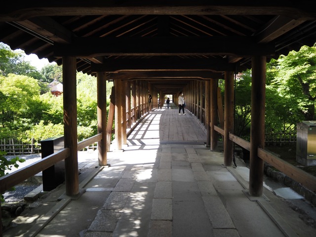 P5166090.JPG2