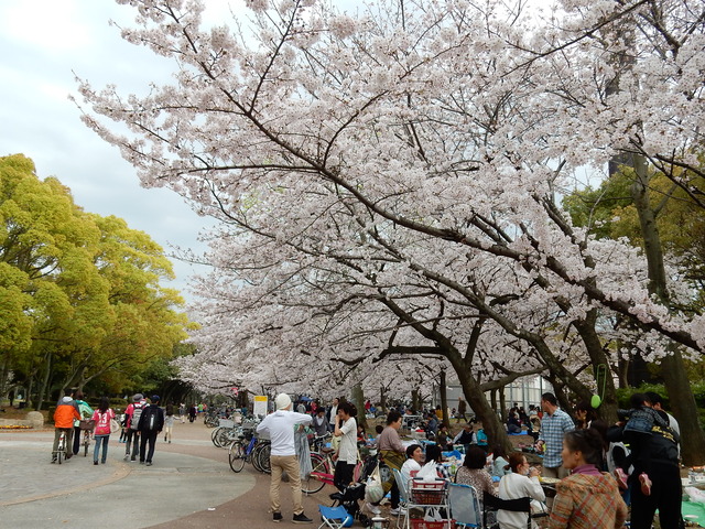 DSCN7524
