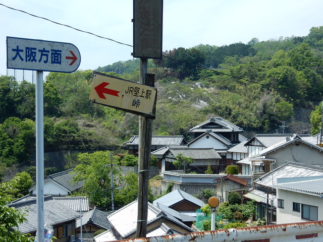 DSCN2380