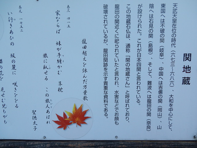 DSCN2430