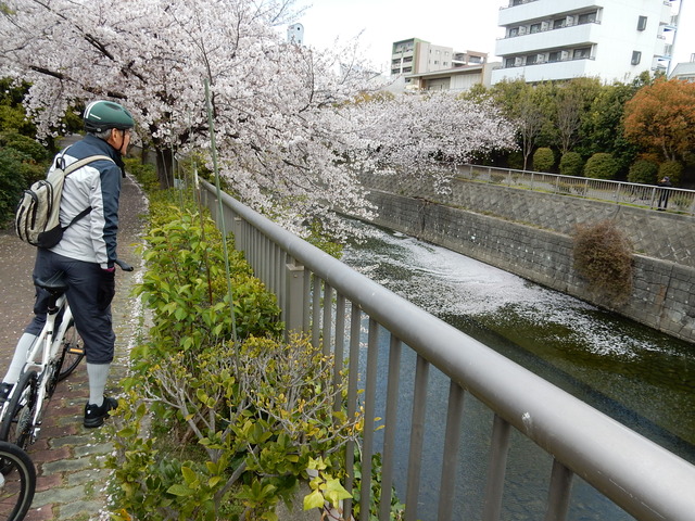 DSCN1812