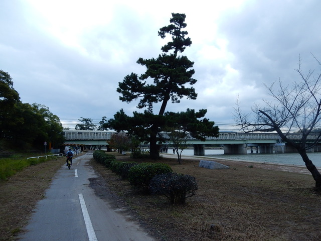 DSCN5942