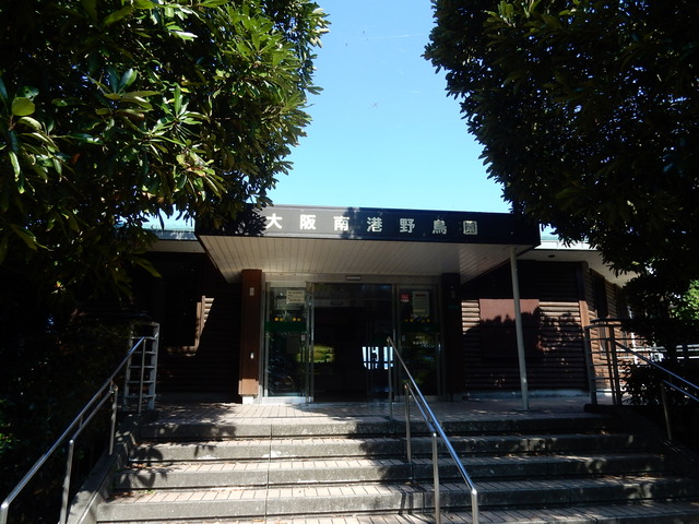 DSCN7138