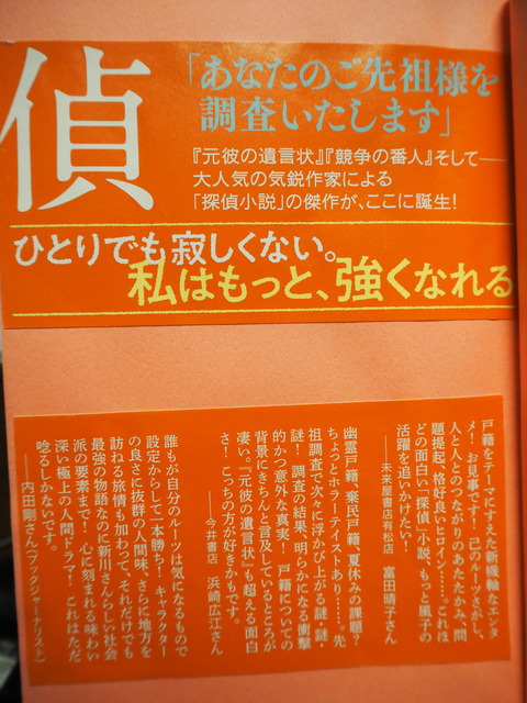 P4153813