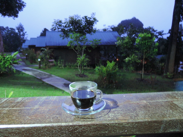 DSCN0401