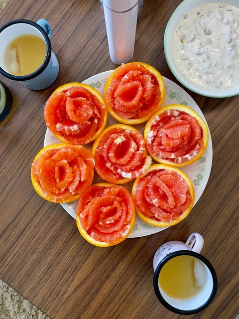 LINE_ALBUM_2026.2.23㈰HAWAII2日目Mia_Kono Fujihara family_260301_91