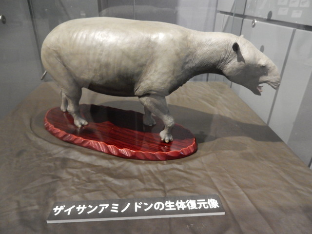 DSCN7202
