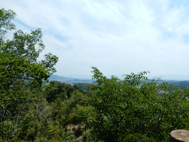 DSCN2322