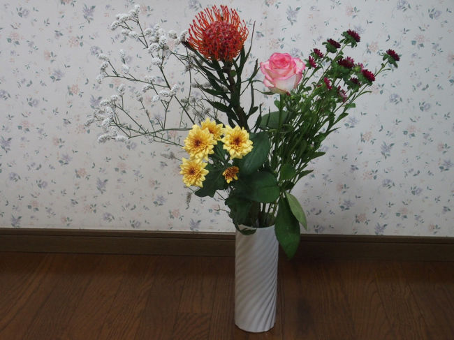 花と植物図鑑2400 切り花 ピンクッション デルフィニウム カラー バラ 他 癒しの高次元気功 天界