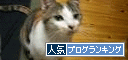 br_decobanner_20091118223041