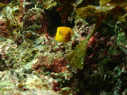 image0