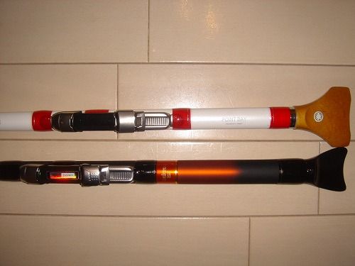 ダイワ(Daiwa) 極覇光ヘチ 270 06573115｜アウトドア用品・釣り