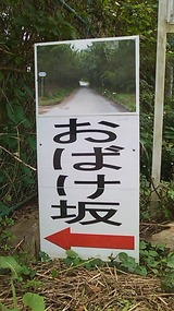 064eaec1.jpg