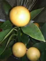 158f8342.jpg
