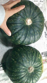 213cf641.jpg