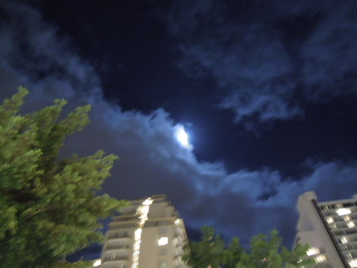 Nikon ニコン COOLPIX P300で撮影 ハワイ・ワイキキ 夜空 月の画像