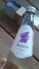 ��饤��in���2009 �����å�ȯ����