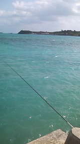 5568d7bb.jpg