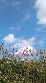7b6b6916.jpg