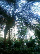 adad9704.JPG