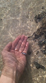 e25b6698.jpg