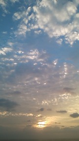 e5450598.jpg