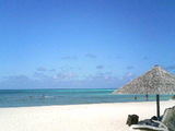 f1fa86f6.JPG