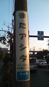 f519e299.jpg