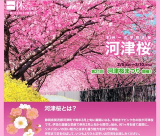 第21回河津桜まつりは2011年2月5日(土)〜3月10日(木)に開催決定