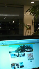f6bb208d.jpg