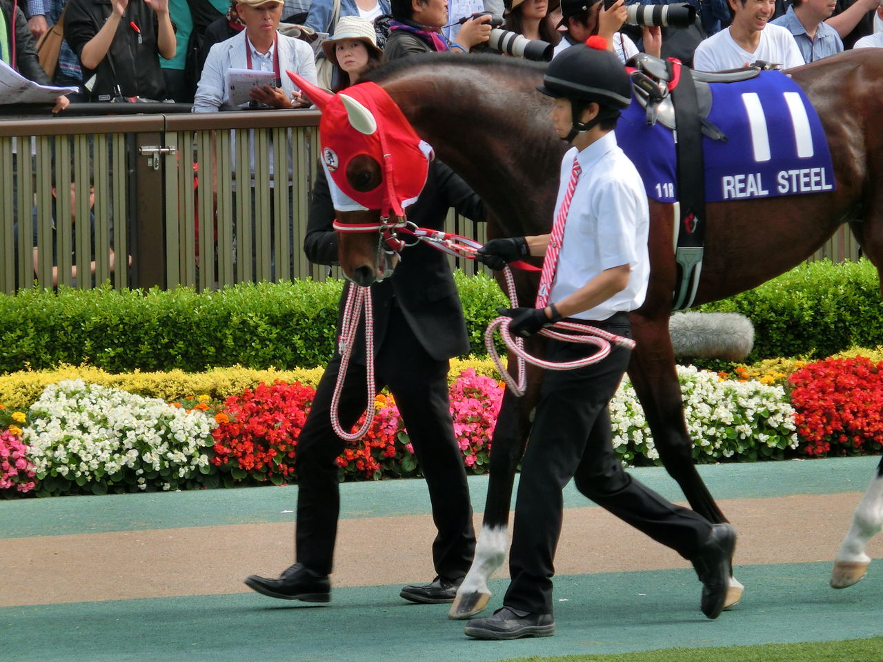 安田記念観戦レポート※長文。ロゴタイプが逃げ切り勝ち ...