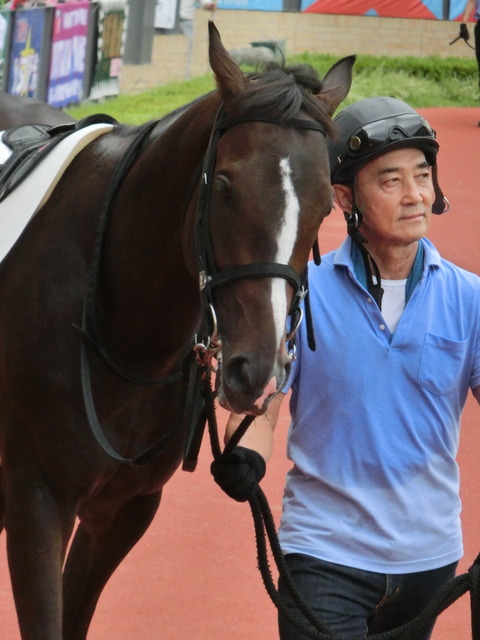 Template:優駿牝馬勝ち馬